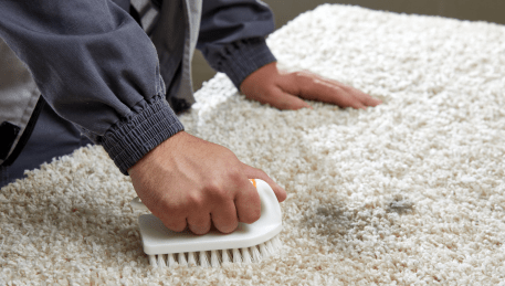 Professional Rug Cleaning Guys Hill